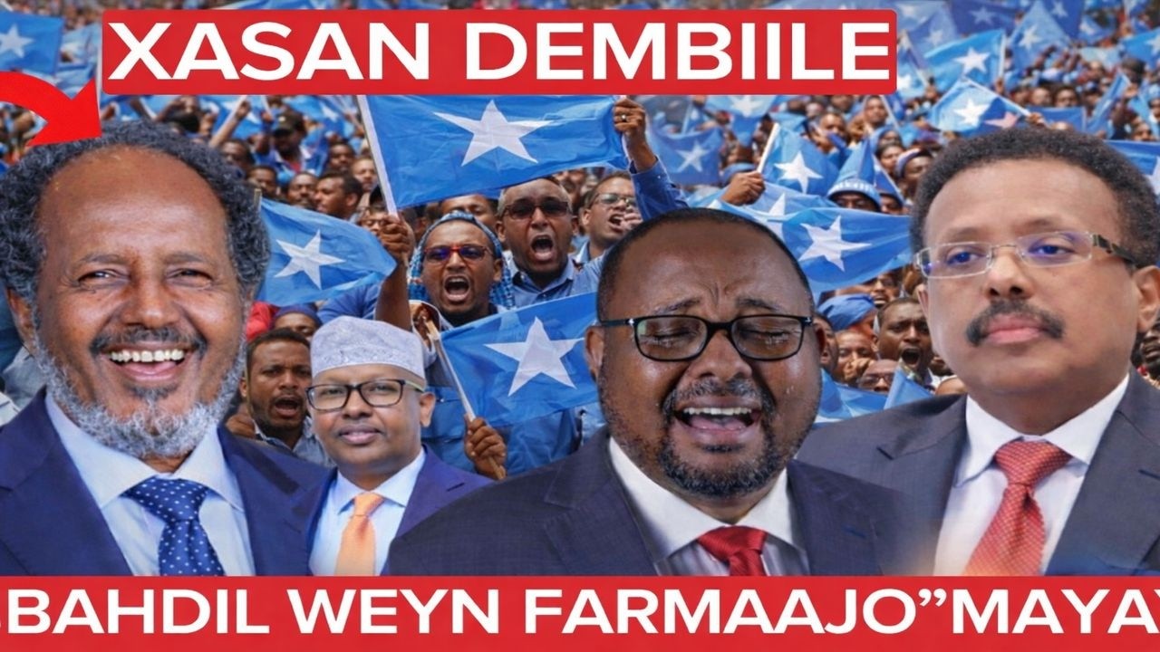 #degdeg:Xasan Sheekh oo qirtay inuu dembi galay, W. Barri oo si toos ah loo Ceebeeyay,Farmaajo“MAYA”