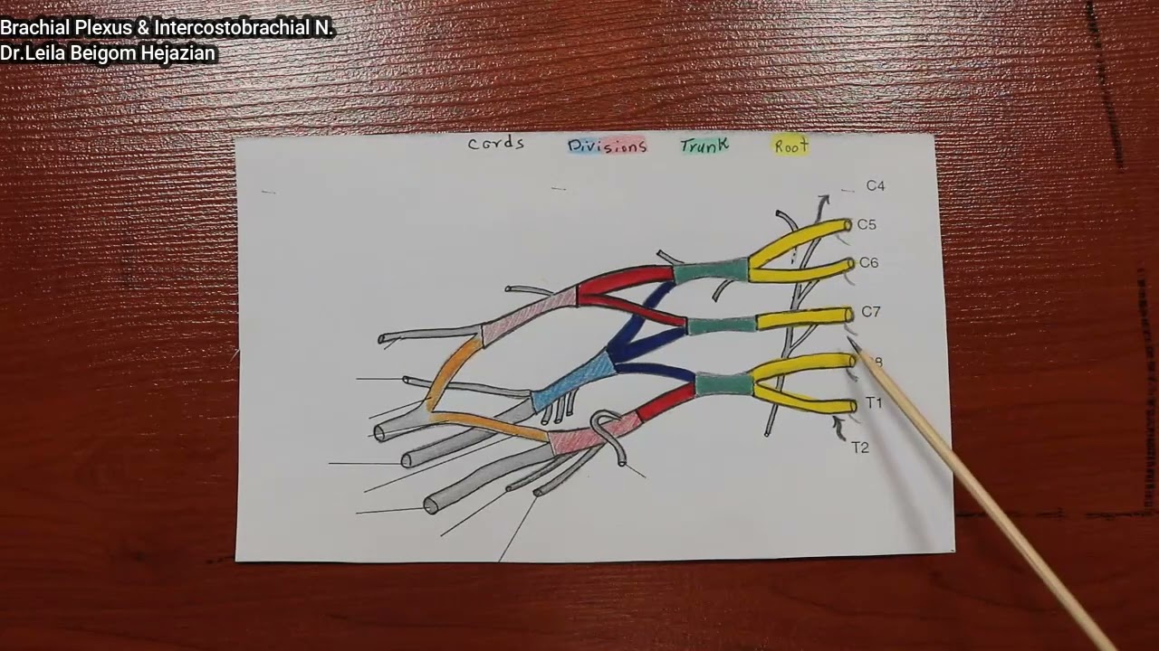 شبکه عصبی بازویی (پارت 5)