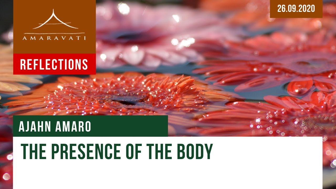 The Presence of the Body | Dhamma Reflection | 26.09.2020