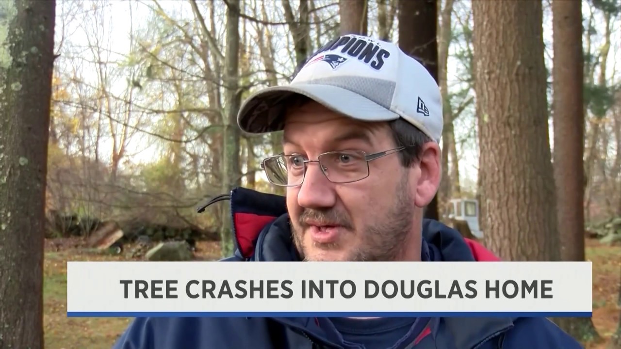 Douglas House Damaged by Tree - November 1st, 2019