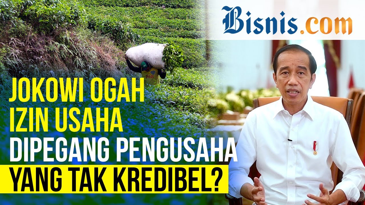 Jokowi Cabut Ribuan Izin Tambang dan Perkebunan? Ini Alasannya!