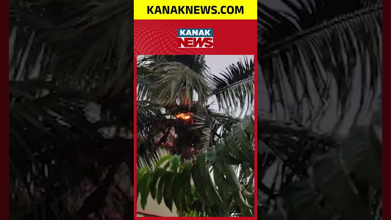 Lightning Strikes Destroy Homes & Trees in Nimapada Amid Storm | Kanak News Shorts