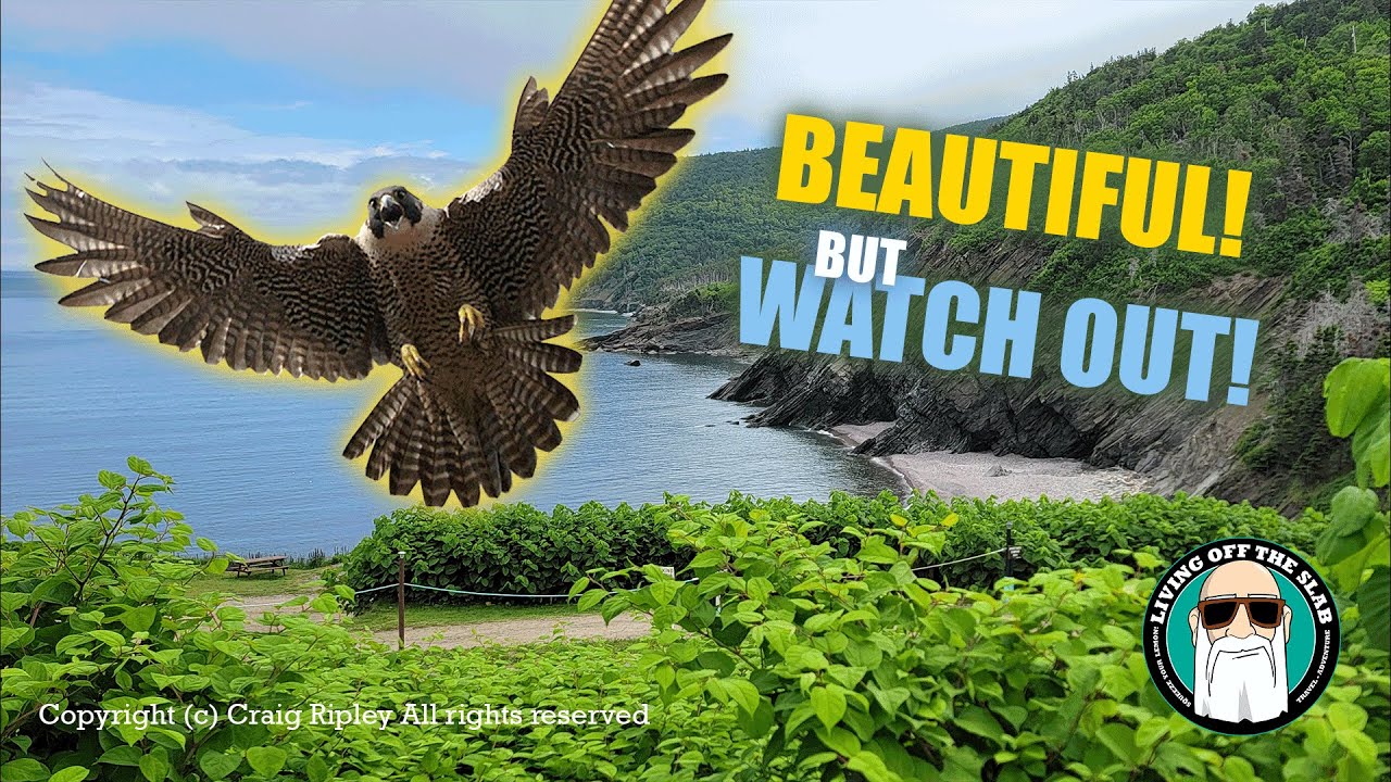 Riding the STUNNING Cabot Trail and Meat Cove | Four Corners Part 3