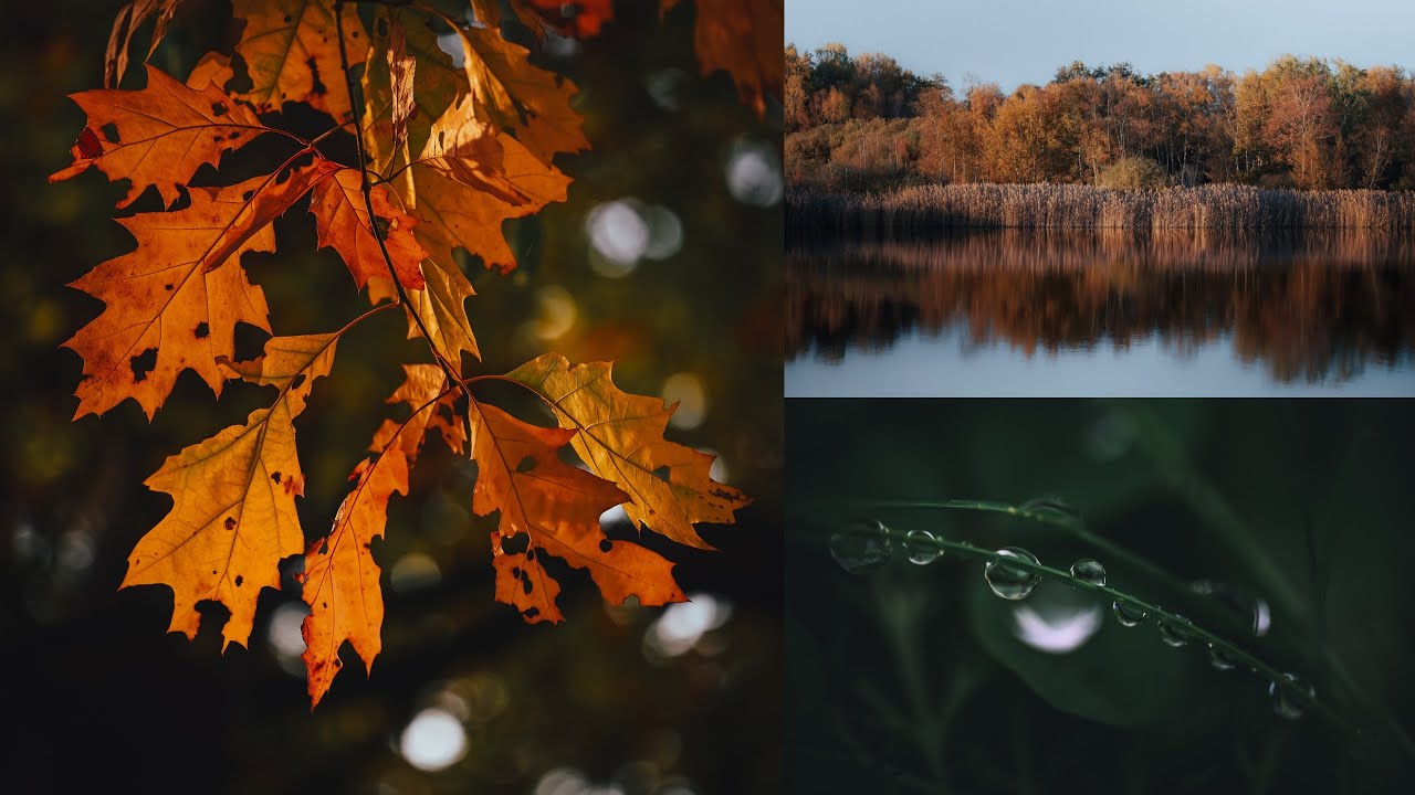 Piano Mix for Autumn - 1 hour Relaxing Piano (by James Malikey)