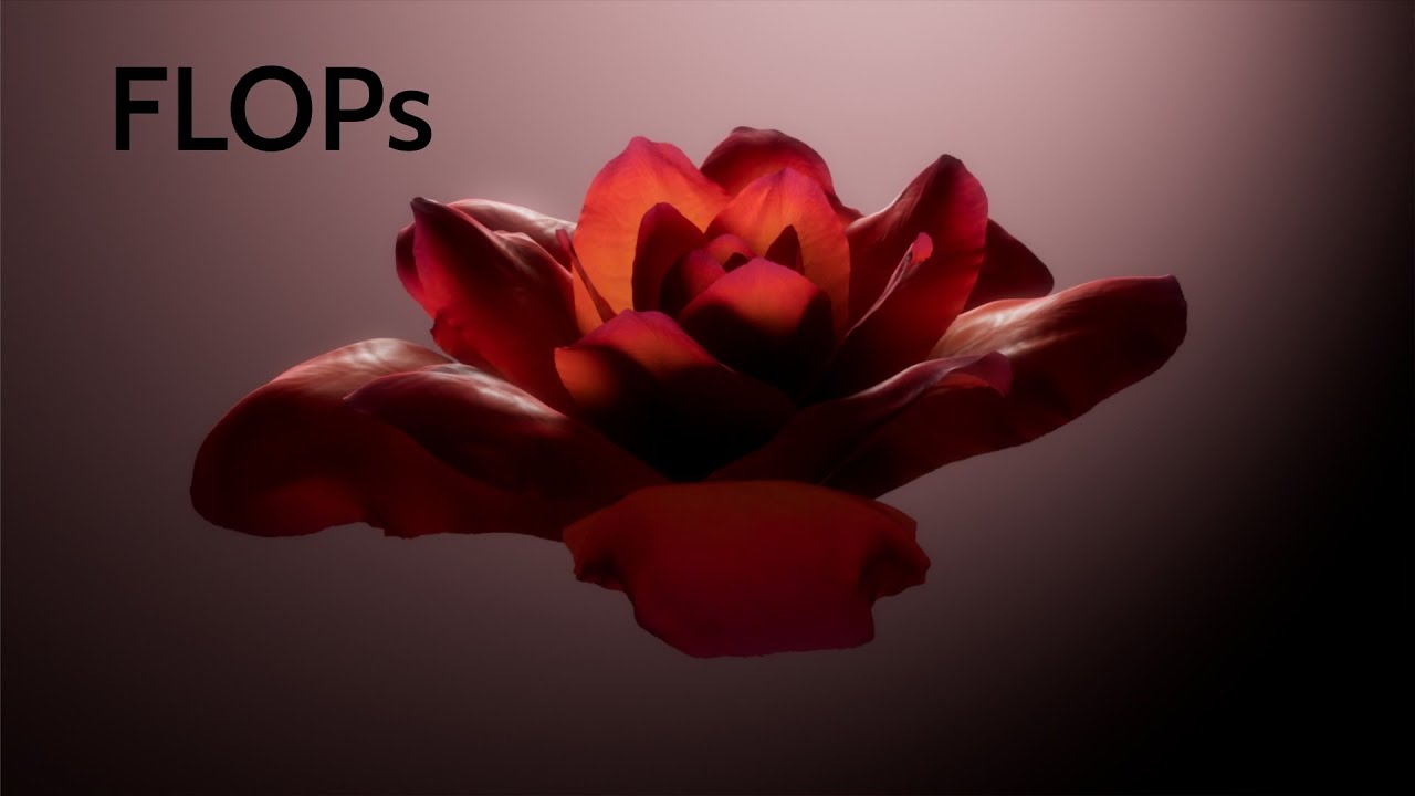 FLOPs: Houdini Flowers Simplified