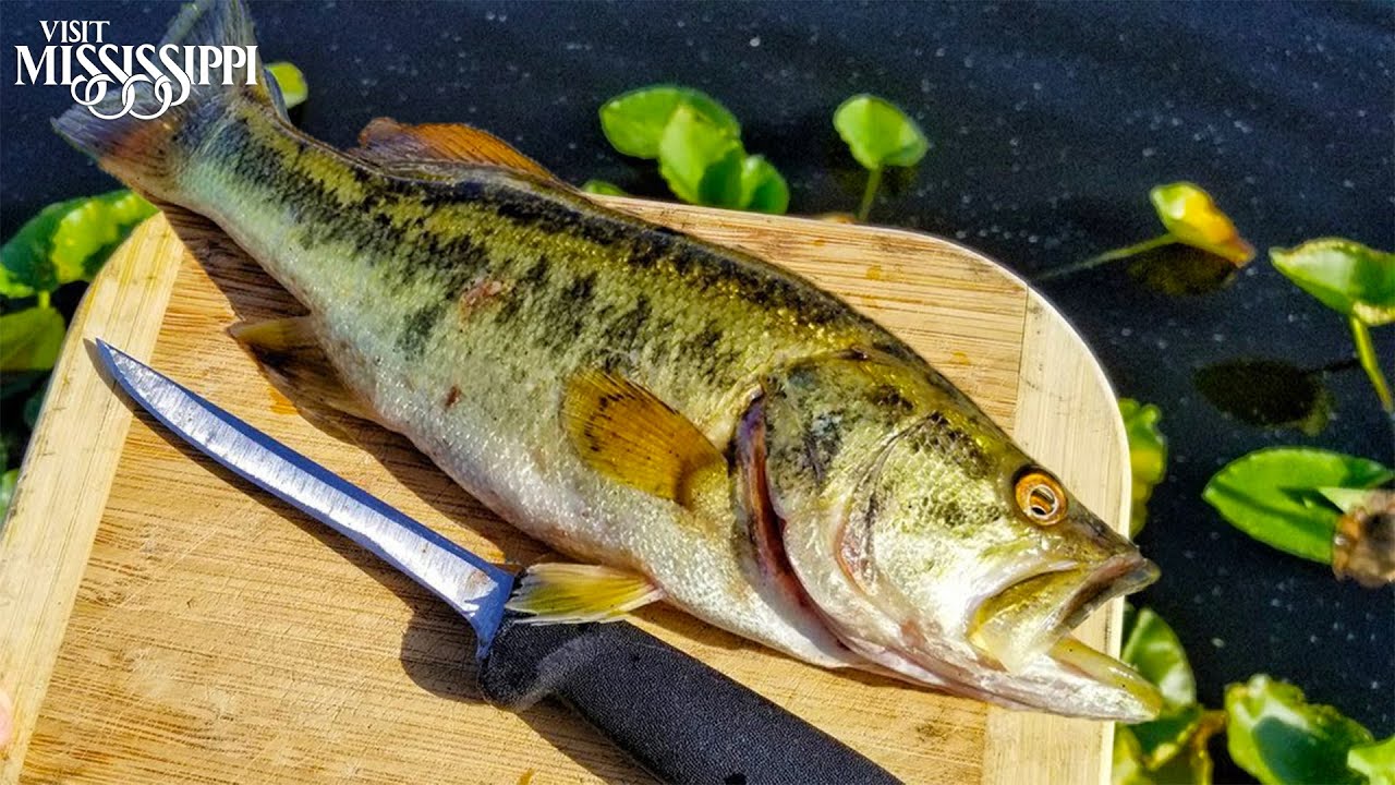 Why You Should Eat More Bass! (CATCH CLEAN COOK) - Kayak Fishing Topwater Frogs in Mississippi