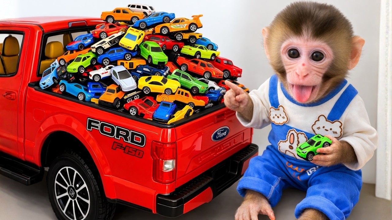 Monyet Milo Imut berenang di kolam penuh mobil warna warni dan membantu anak anjing pulang