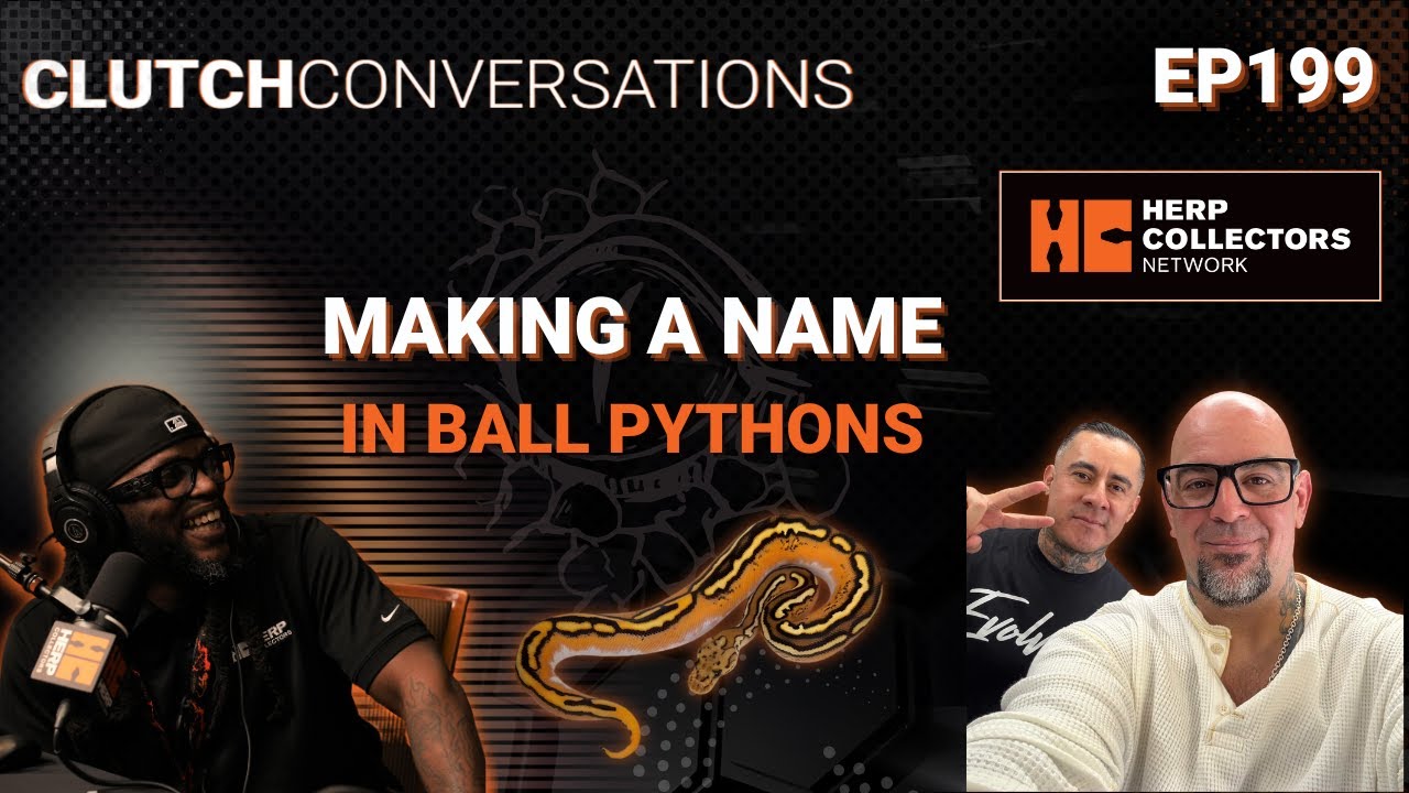 EP199 – Making a Name in Ball Pythons
