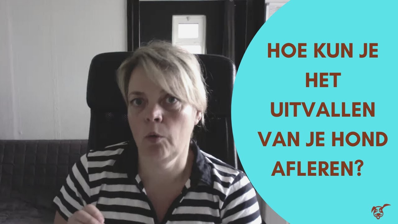 Hoe kun je het uitvallen van je hond afleren?