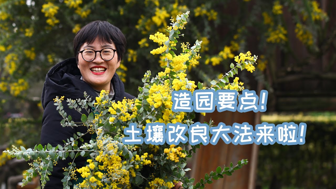 造园要点！土壤改良大法来啦！
