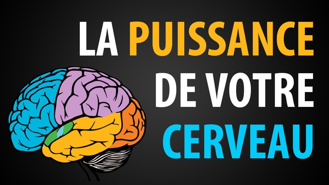 5 Façons d'Augmenter la Rapidité et la Puissance de votre Cerveau