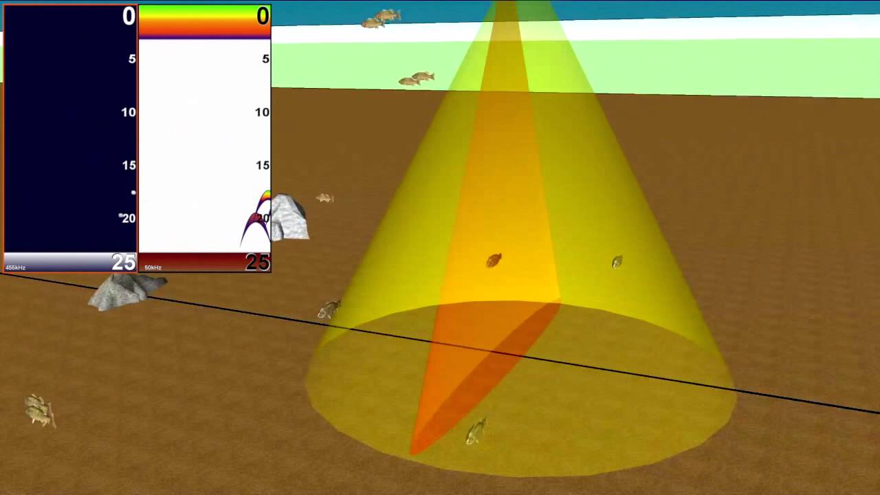 How to Interpret your Sonar Graph