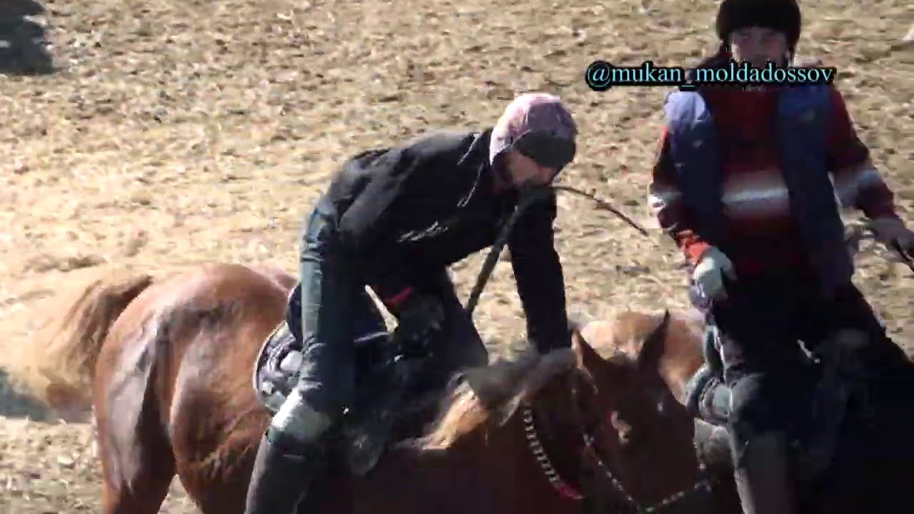 Елдин еркеси Толик палуан Алтынжалмен елди шулатты