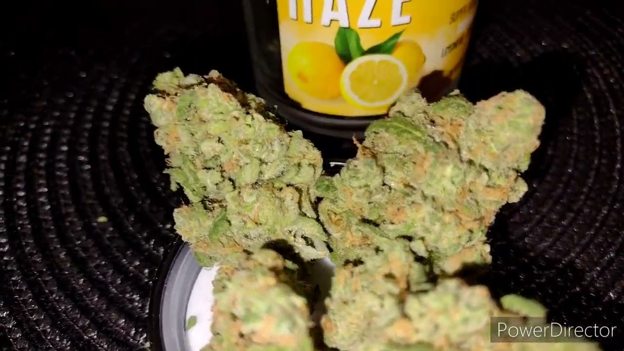 New Pot Shop 150$ Weed Haul #weedtube