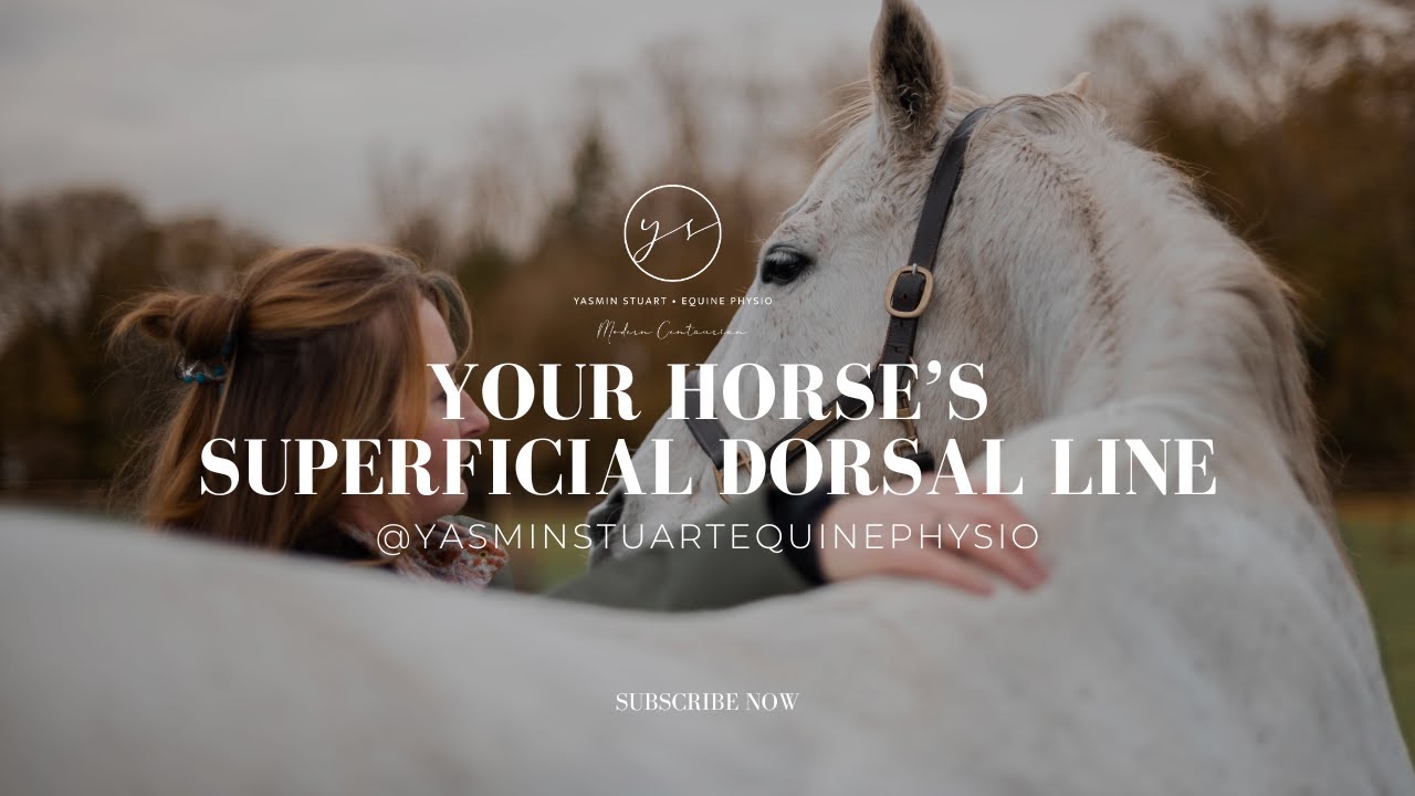Your Horse's Superficial Dorsal Line