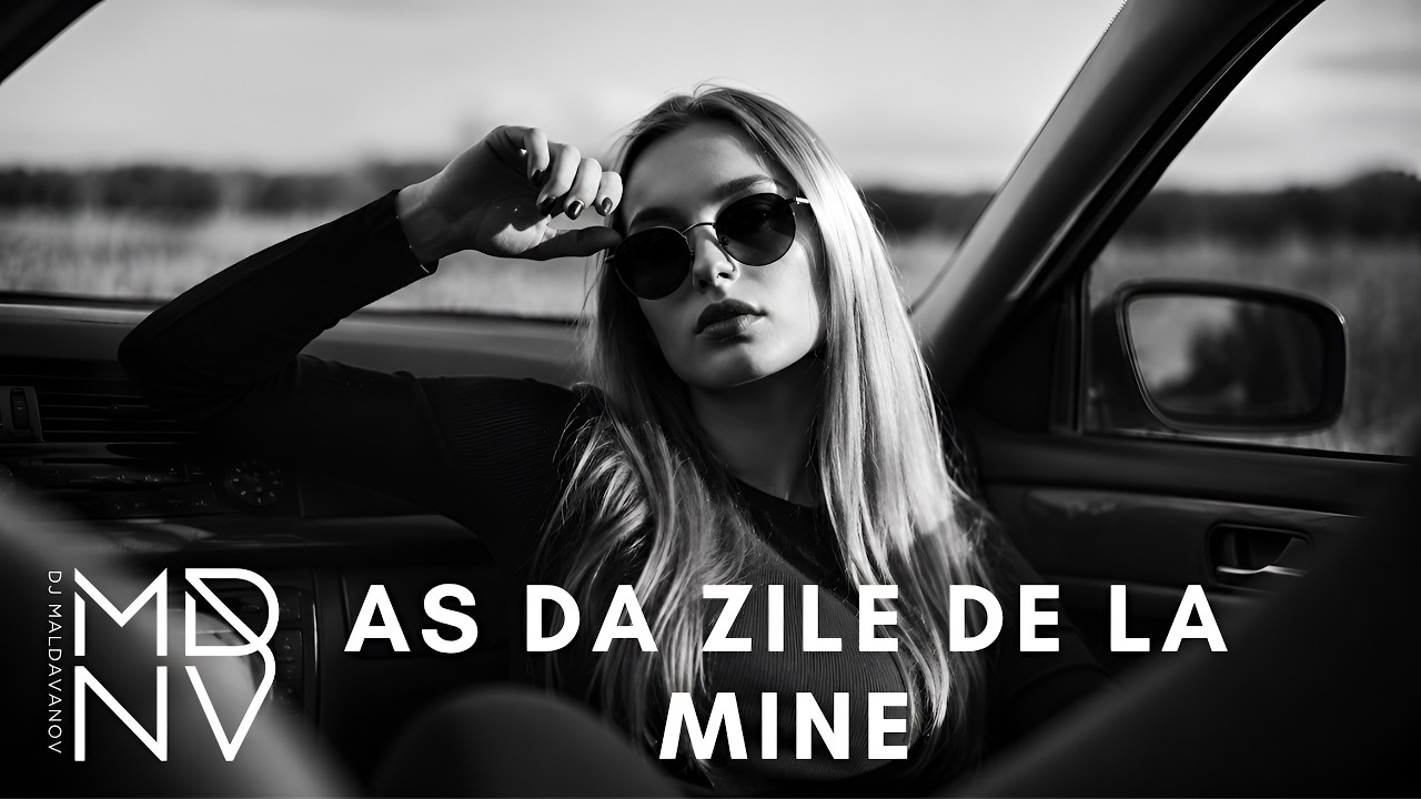 DJ Maldavanov &ndash; As Da Zile De La Mine (Remix 2026)