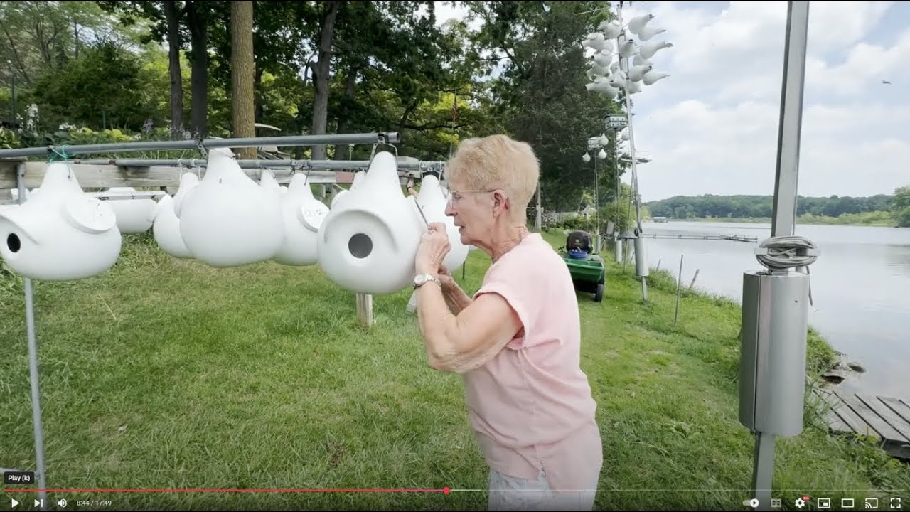Mondays with Martha #252 - Shady Acres Campground: Part 3 Purple Martin Colony