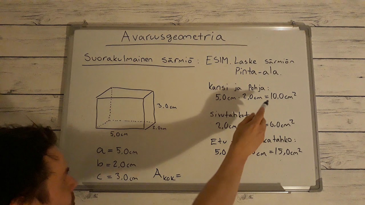 Avaruusgeometria: Suorakulmaisen särmiön pinta-ala