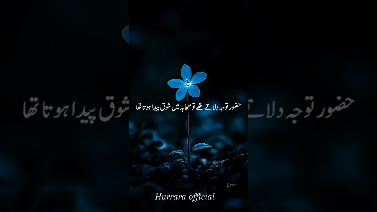 Nabi Pakﷺ Ne Farmaya Jannat Ma&hearts;️_AjmalRazaQadri🥀#shorts#ajmalrazqadri
