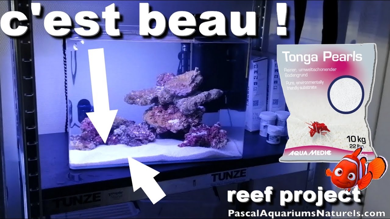 SABLE CORALIEN Artificiel (Tonga Pearls) ! projet récifal étape 3 - Pascal Aquariums Naturels