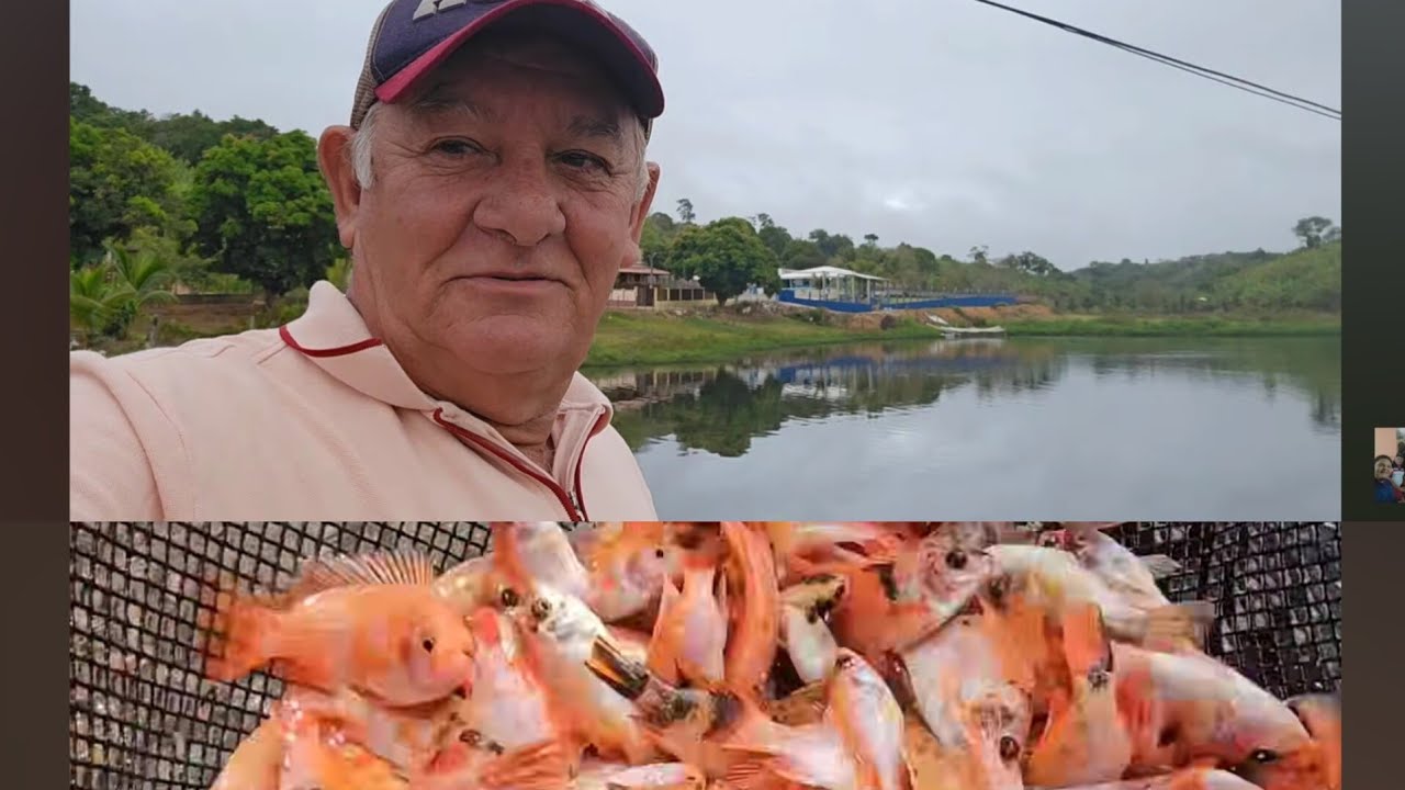 FUI COMPRAR PEIXES EM PRÓPRIA, OLHA A QUANTIDADE DE ALEVINO, QUE TEM AQUI.
