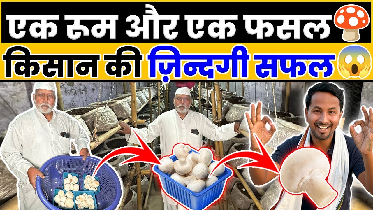फौजी ने घर बैठे की मशरूम की खेती 🍄👌😱 Zero Investment Mushroom Farming || Indian Farmer