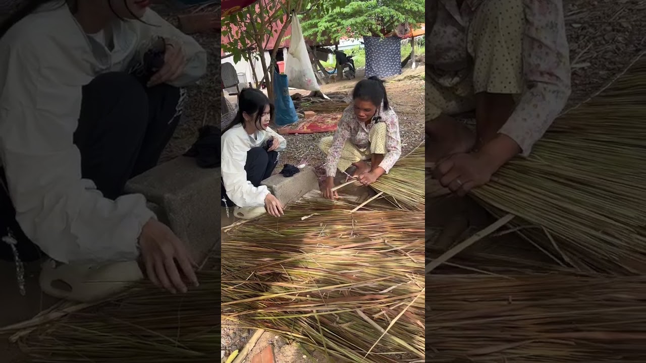 ទស្សនានៅ ទិដ្ឋភាពបងស្រីក្រងស្បូវលក់