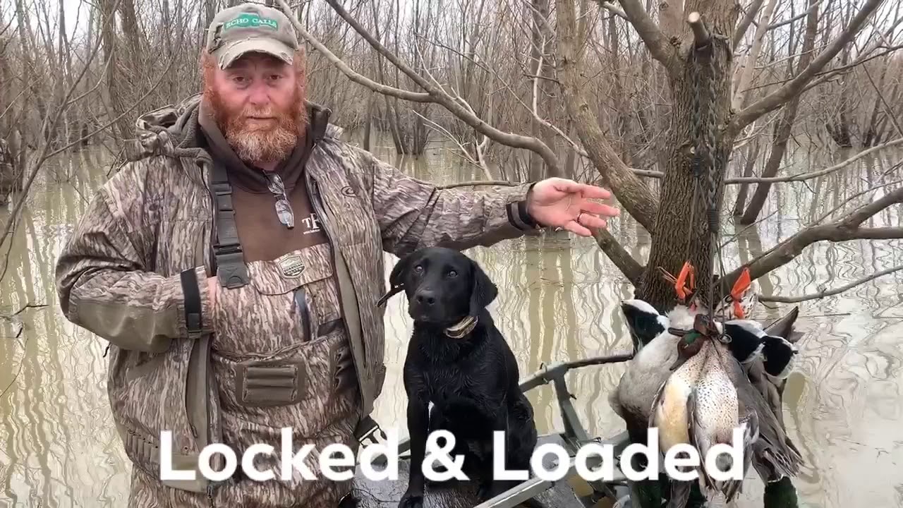 Hypothermia Prevention For Your Pooch - Locked & Loaded 7