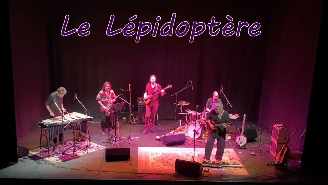 Le Lépidoptère ALEP Blois 08122023