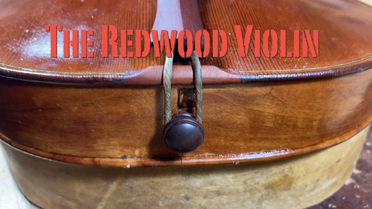 Fitting the tailgut to the Redwood Violin