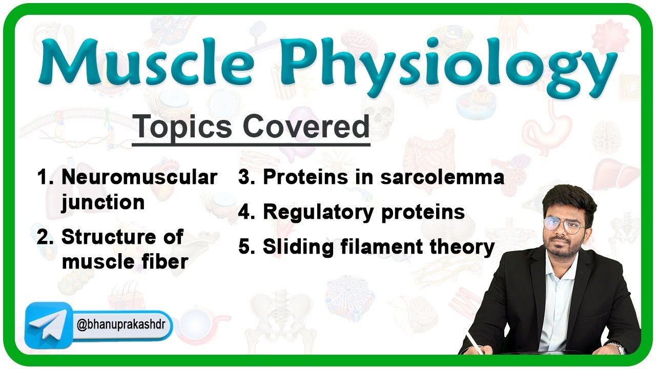 Muscle Physiology By Dr Sree Teja