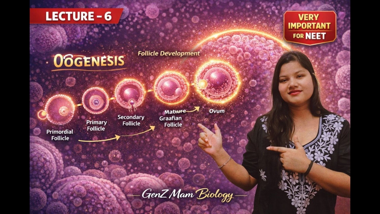 Oogenesis & Follicle Development in One Shot 🔥 | NEET 2026 + Boards | GenZ mam Biology