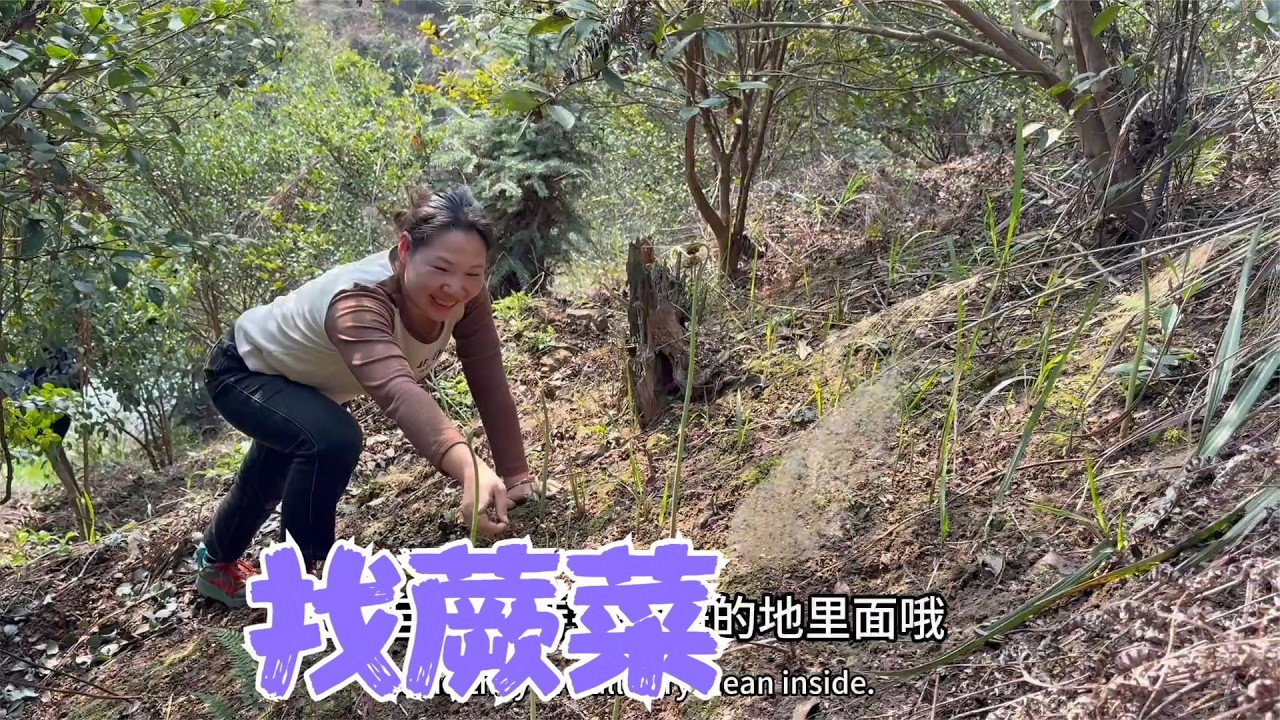 阿恋和亮哥上山找蕨菜，越摘越过瘾摘了满满一篮，和腊肉炒超级香