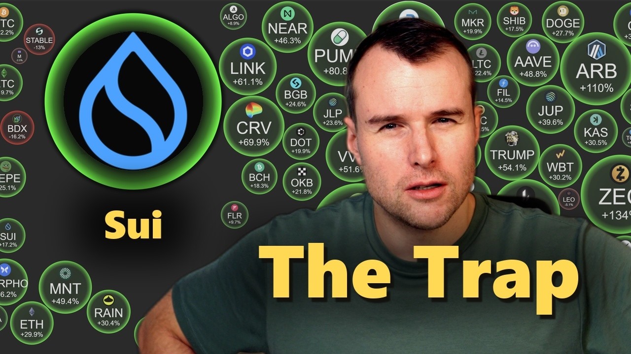 ⚠️ Nobody Pays To Use Sui - SUI Crypto Analysis