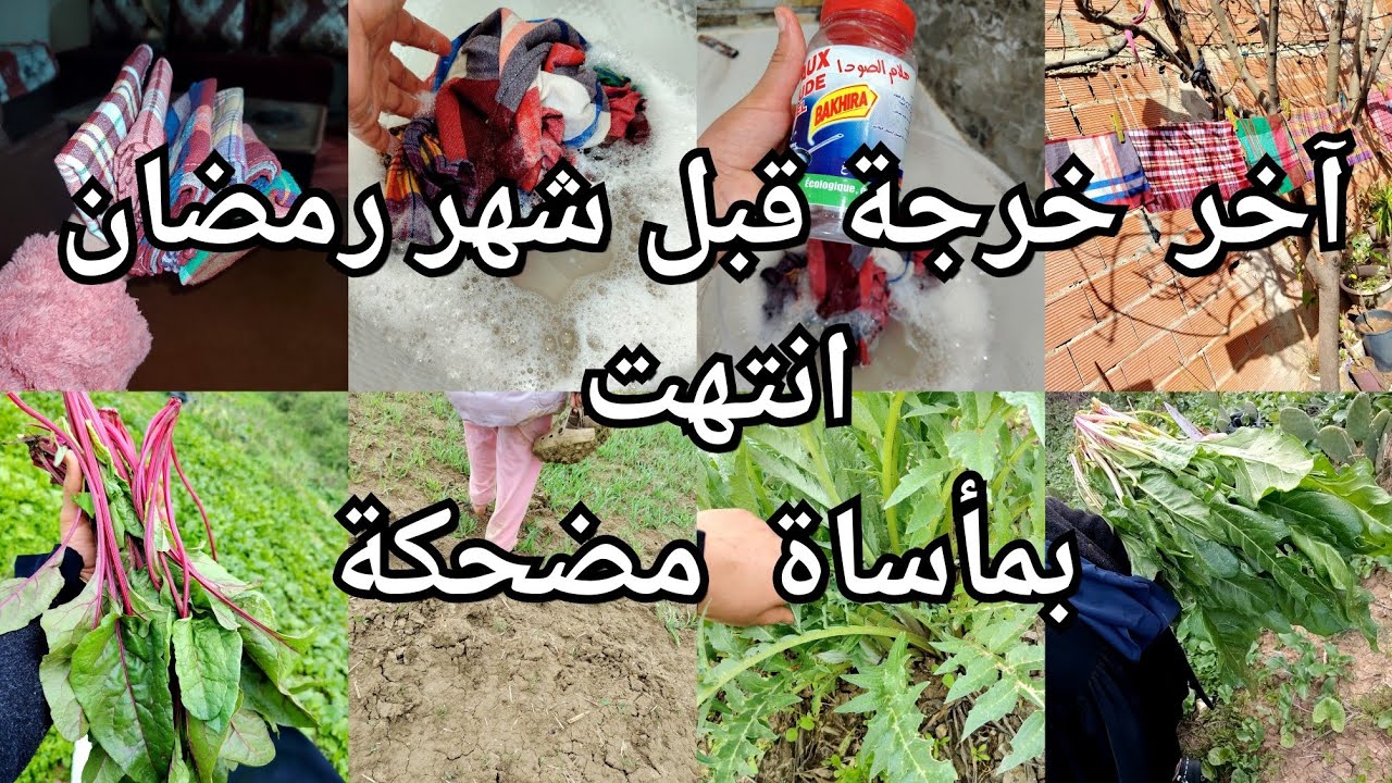 متزيديش تحكي الطراشن شمخي وشلي ونشري بلا كريستو ❌وبلا خل❌ وبلا بيكاربونات❌ وبلا خمارة فورية❌