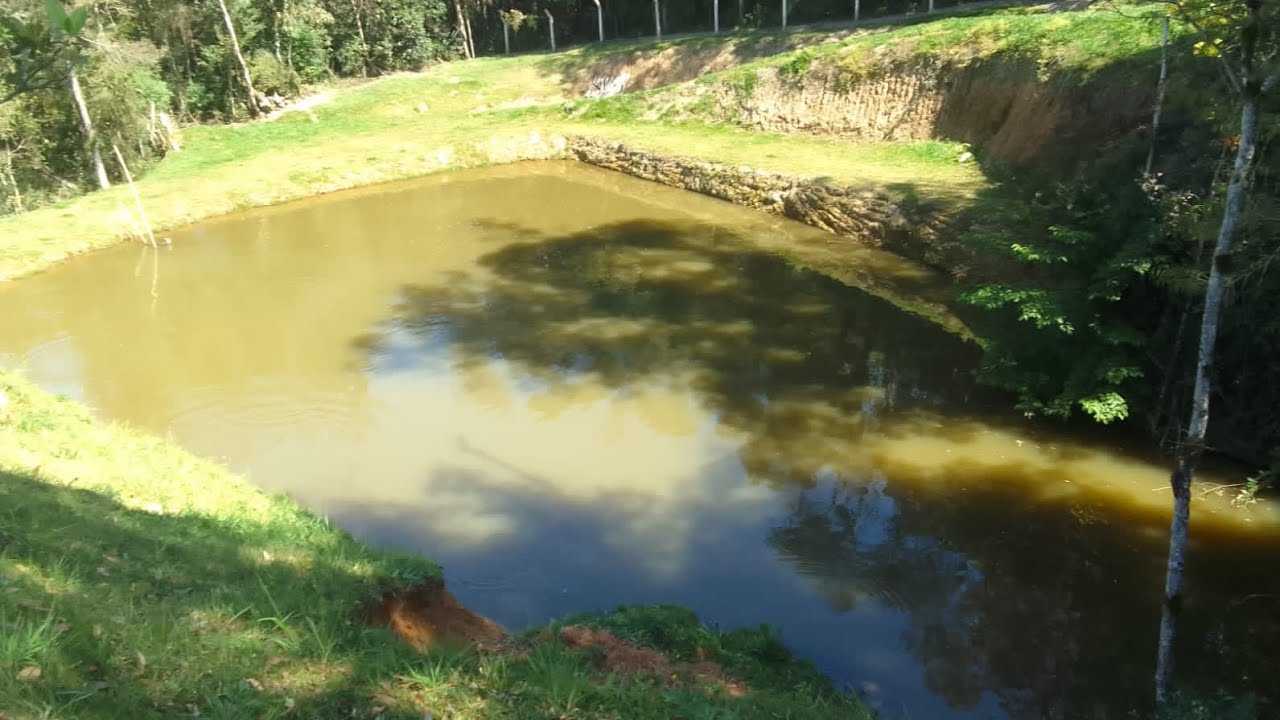 Mandirituba, PR. Chácara à venda, 33.500m2 com 4 tanques de peixes. Casa 280m2. Piscina. Área planta