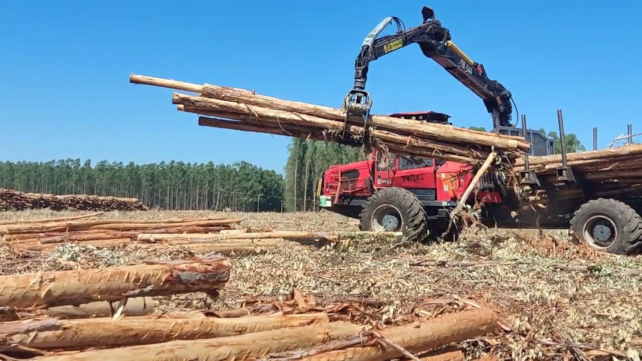 Forwarder e Precisão. máquinas/Forwarder.