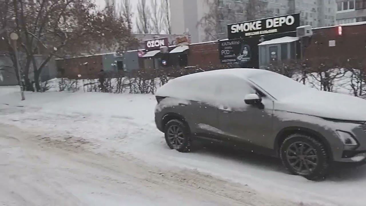 Бродячие собаки это проблема! Тольятти 27.12.25