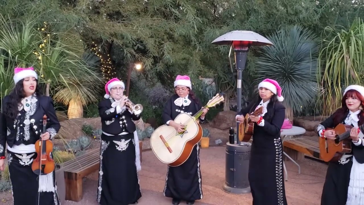 Mariachi Rubor 12/6/25 Phoenix, Arizona