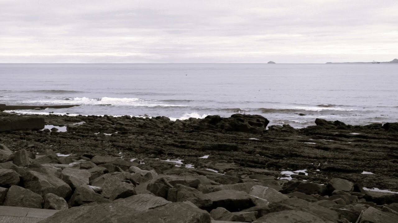 Quantum of Dreams / QoD Project - Sea World