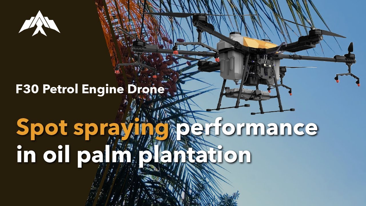 Application of F30 Hybrid Drone in Oil Palm plantation |  Alphaswift