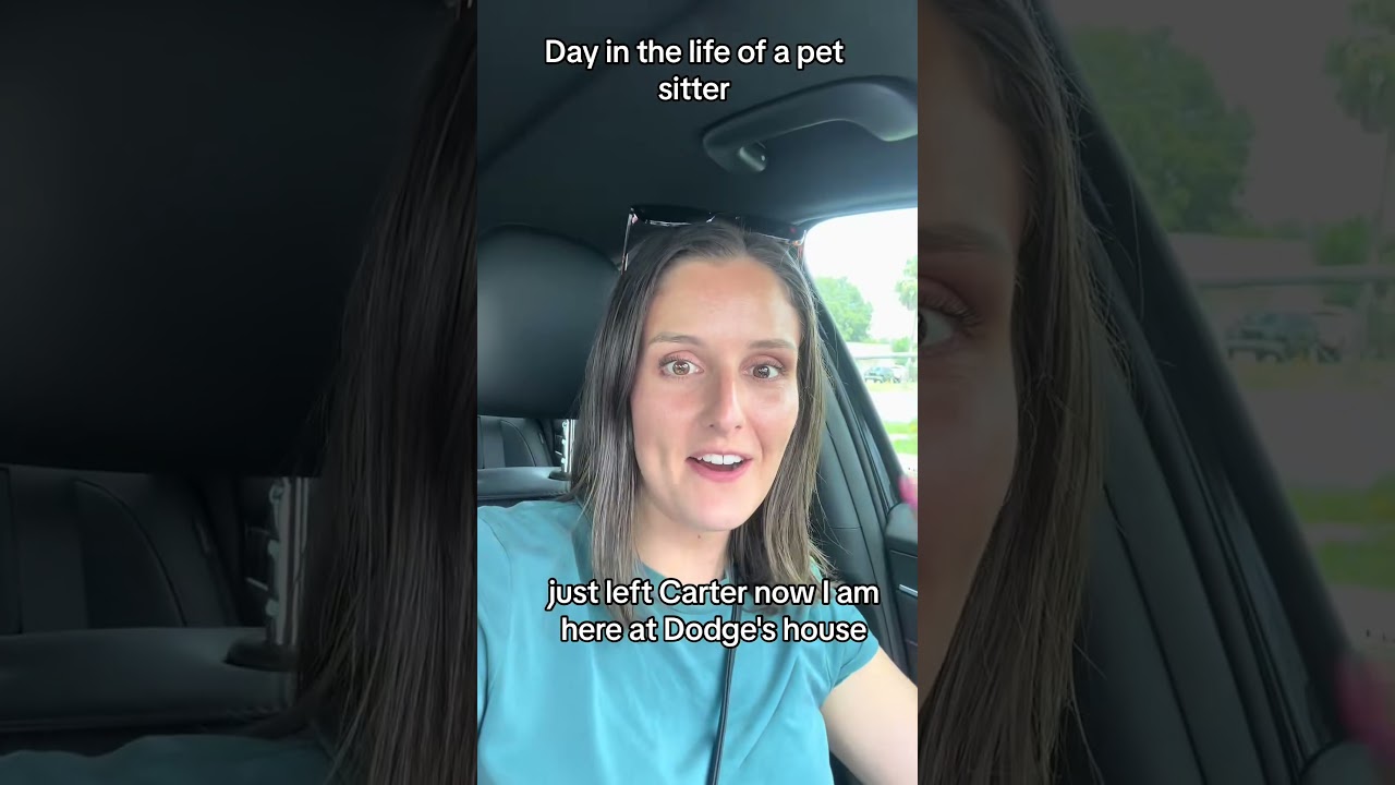 A Day with a Rover Pet Sitter