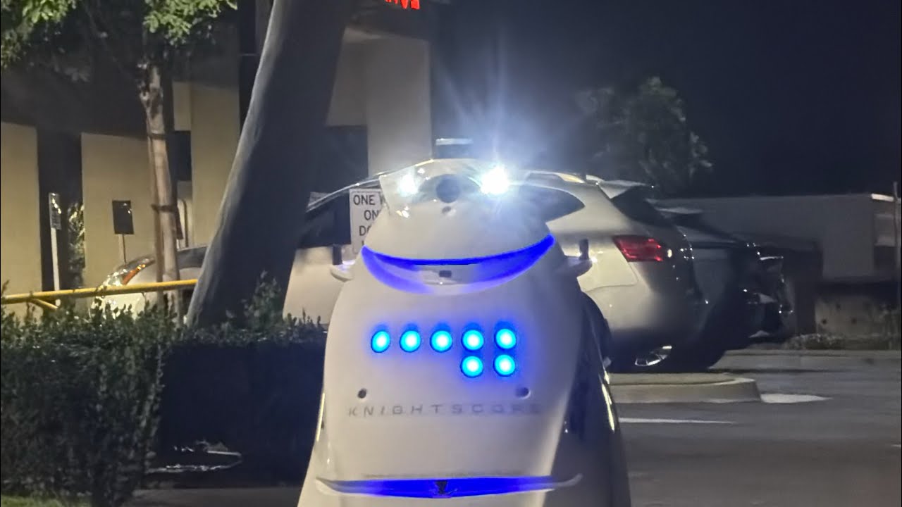 The crazy things you see ￼