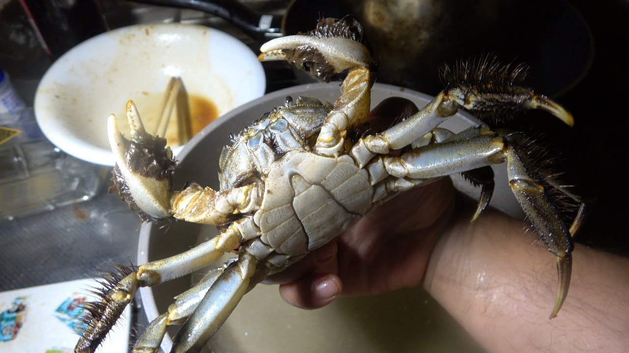 巨大モクズガニを３００°の高温油の中に入れたら・・【衝撃】