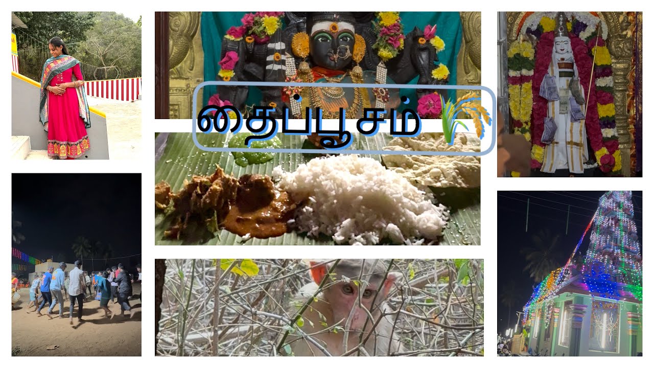 🍃தைப்பூசம் Vlog : L.vdeo #2 #longvideo #thaipoosam #dimlintamil #youtubevideo #vvlogzz #temple 