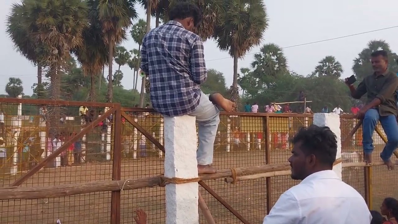 Devapattu Manjuvirattu 2026 / தேவபட்டு மஞ்சுவிரட்டு 2026 - Part 6