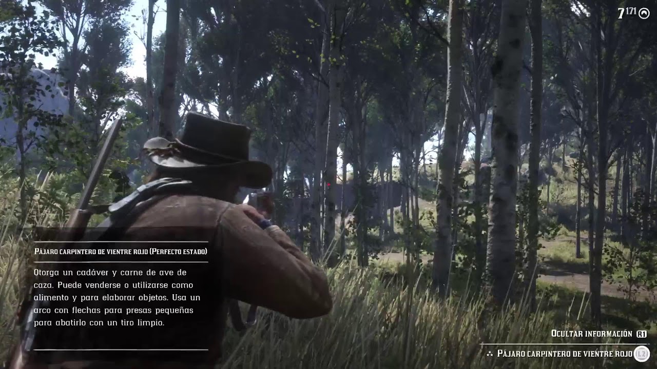 Red Redemption 2 caceria de animales