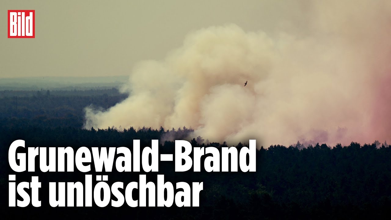 Feuerwehr kann Waldbrand in Berlin nicht löschen | Grunewald