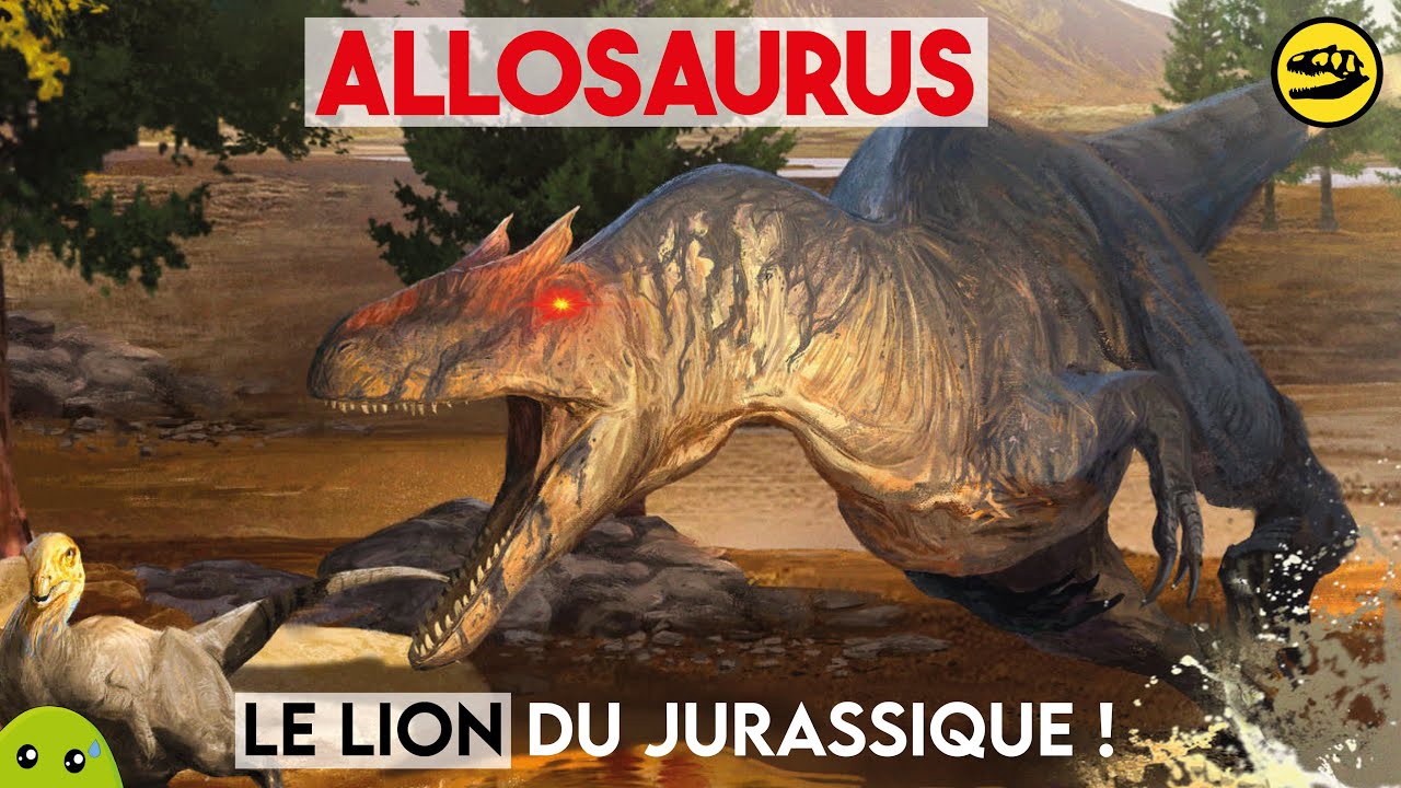 ALLOSAURUS | prédateur ultime du Jurassique ?!