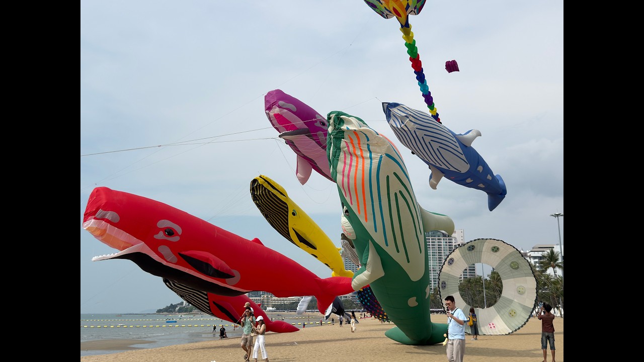 KITE  Festival In Pattaya City